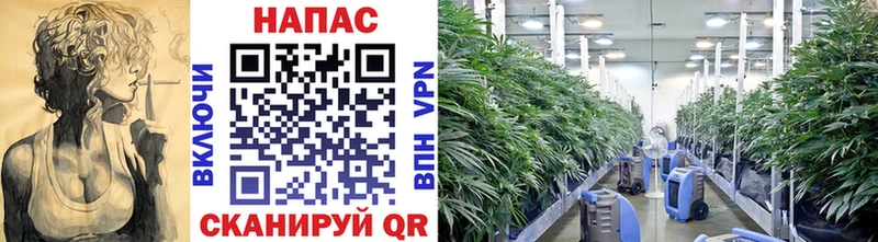 Купить закладку МАРИХУАНА A PVP Гашиш МЕФ Новокубанск