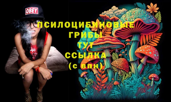 синтетический гашиш Зерноград