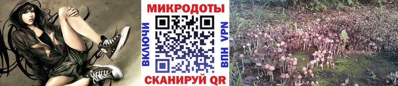 Галлюциногенные грибы ЛСД Новокубанск